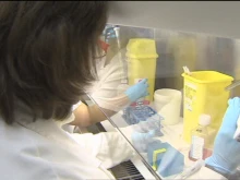 Обещаващи разработки на ваксината за СПИН ще бъдат пуснати за клинични изпитания
