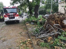 След катастрофите с млади водачи: Специалисти настояват за промени в шофьорските курсове