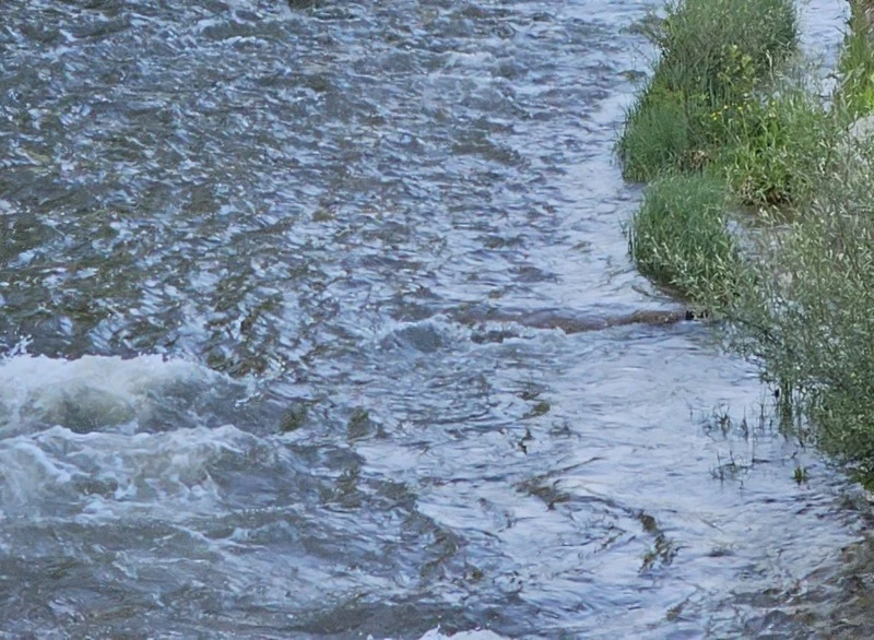 Река излезе от коритото си! Наложи се затваряне на път при санданско село