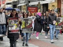 Десетки излязоха на протест на Главната на Пловдив, искат затвор за наси...