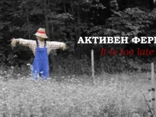 Въпроси по Кампания 2024: Очакват ли се закъснели плащания, които правят фермерите "неактивни"?
