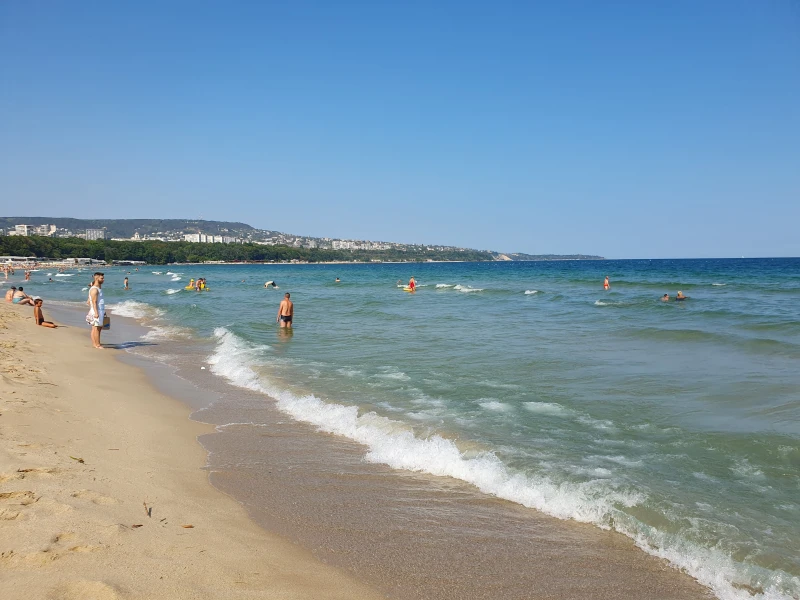 Черно море е застрашено заради проект?