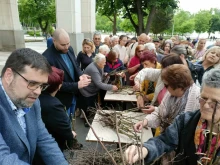 Зацветяват Плевен с 20 000 розови храста, осигурени от дарител