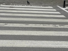 Експерт: Пешеходна пътека в София да се олющи за две седмици, не само, че е незаконно, но е и некачествено