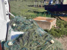 Хванаха бракониер, извадил 17 килограма риба от река Росица