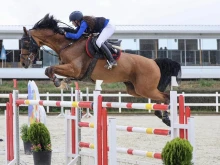 Над 120 ездачи ще участват в Световната купа по конен спорт в с. Царацово