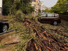 В разгара на бурията: Дърво затисна автомобил в София