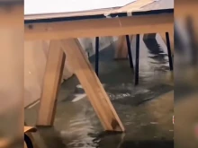 �������� ������ ��������� �������� �����������
