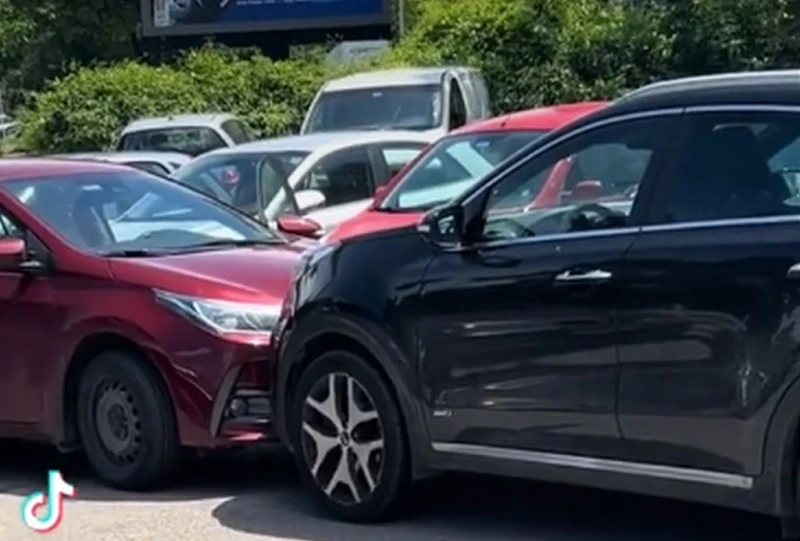����� ���� �������� ���: ���� �� ������ �� ������ ��������� � ��������� �����������, �������� �� ����