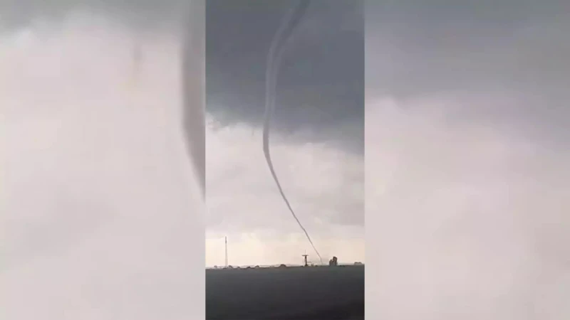 T������ ������� ���� ���� ����� � ������