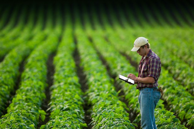 Държавен фонд Земеделие“ преведе 14 716 468.63 лева  по интервенцията