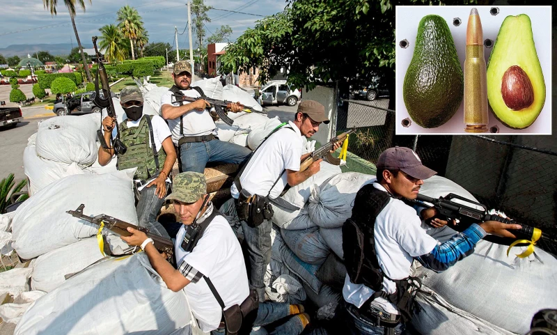 Магистрални бандити в Мексико "отвлякоха" 40 тона авокадо