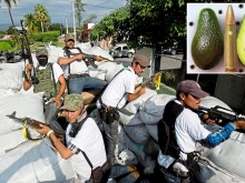 Магистрални бандити в Мексико "отвлякоха" 40 тона авокадо