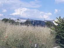 Читател: Пловдивският зоопарк се премести на Пазарджишко шосе