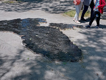 Вижте какво се появи в Морската градина на Варна, внимавайте да не залепнете