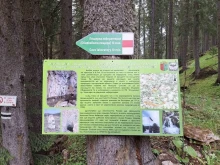 Нова екопътека, показваща история и красиви кътчета на Родопите, посреща туристите в община Чепеларе