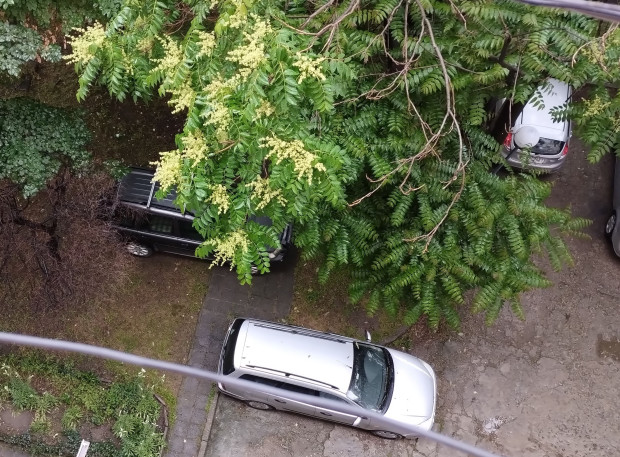 TD Проблемът с безразборното паркиране в Пловдив става все по