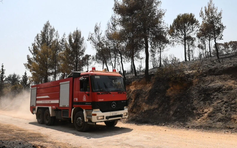 Горски пожар бушува в Централна Гърция