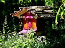 На вниманието на всички собственици на пчелини във Видин