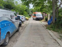 Първи подробности от прокуратурата, след като 36-годишна жена почина след ухапване от собствения й питбул
