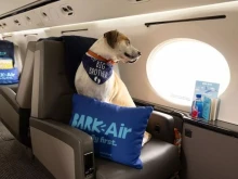 ����������� � ��������� ��������� ��������� ������ �� �����