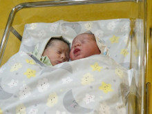 Още една двойка близнаци се родиха по Програма "Инвитро" на Столична община