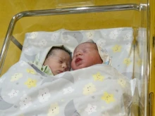 Добрата новина: Близнаците Леа и Матео са новите бебета, родени по Програмата "Инвитро" на Столичната община