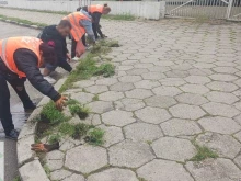 Близо 60 дка обществени пространства са почистени от прораснали треви в София