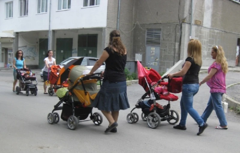 Борят демографската криза в Плевен с по-високи помощи