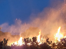Предупреждават няколко области в Северна България: Навлизаме в периода на повишен риск от горски пожари!