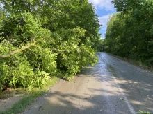 Силна буря удари Великотърновска област, има частично затворени пътища