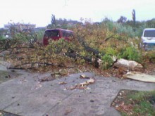 На множество сигнали се отзова Гражданска защита заради силния вятър