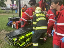 В Чехия мълния удари дърво и рани 18 души, скрити под него