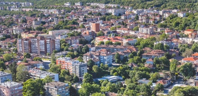 С комбинирано третиране в Свищов се борят срещу комарите