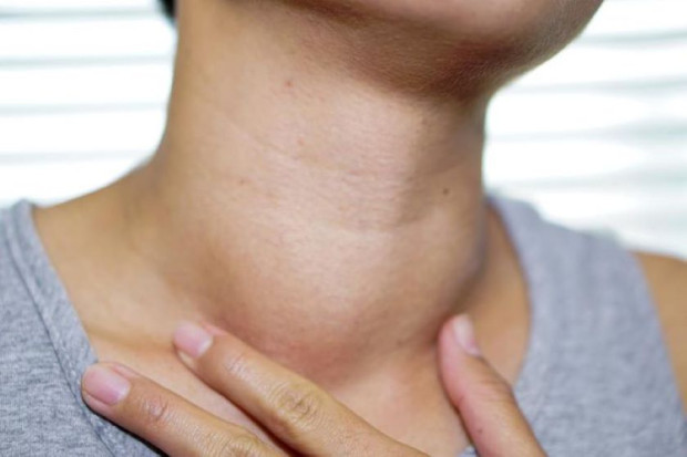 TD Здравето на щитовидната жлеза е изключително важно за нашия