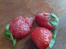 Журналист: Купих тези ягоди, измих ги, след 6-часов престой бяха станали на каша