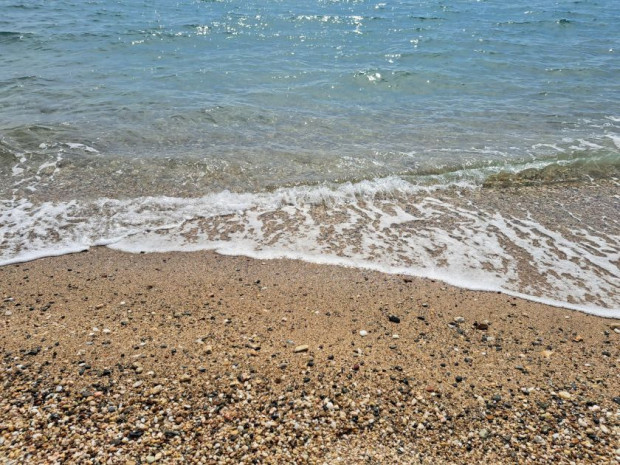 Тревожно откритие на брега в Румъния Заради токсични водорасли в