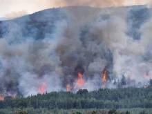 Обявен е пожароопасният сезон в горските територии в цялата страна