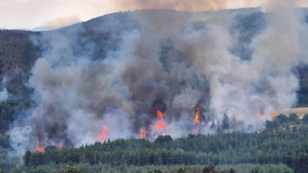 Обявен е пожароопасният сезон в горските територии в цялата страна