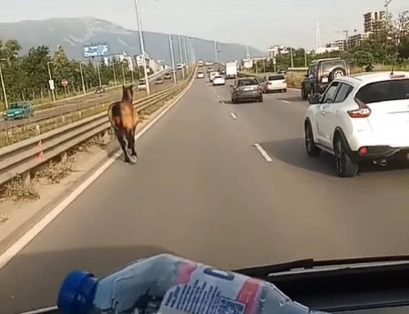 ��� �������� ����������� �� ������������� ��� ��� "���������" � ���������