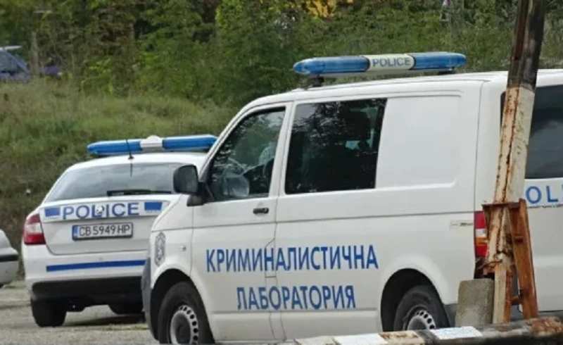 Намериха човешки останки в Кърджалийско