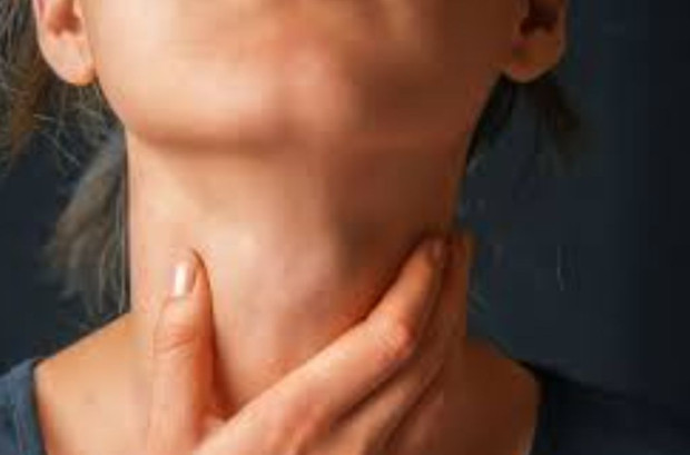 Щитовидната жлеза тежи около 20 грама и е с размер