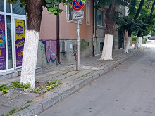 Направиха нещо много важно за дърветата в центъра на Варна