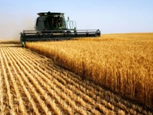 Откри се жътвата в Пловдивско. Зърнар: Разходите на декар пшеница са към...