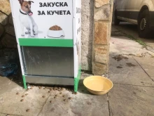 С мисъл за бездомните животни в горещите дни: Общински съвет – Благоевград започна кампания за поставяне на купички с вода