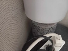 ������ �� ������������ �� ���� �� ������������� ��"�����������" �� ���� �����2,74% �� ���