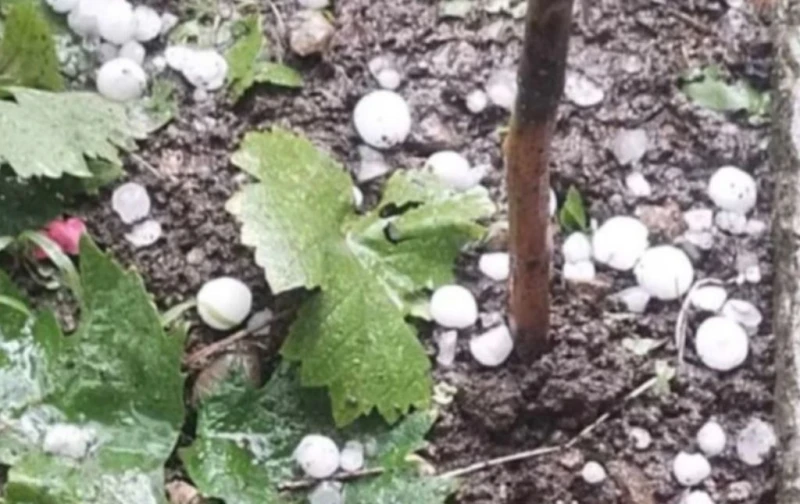 ����� ���� � �������� �� ������ � ����� ���� ���� ������