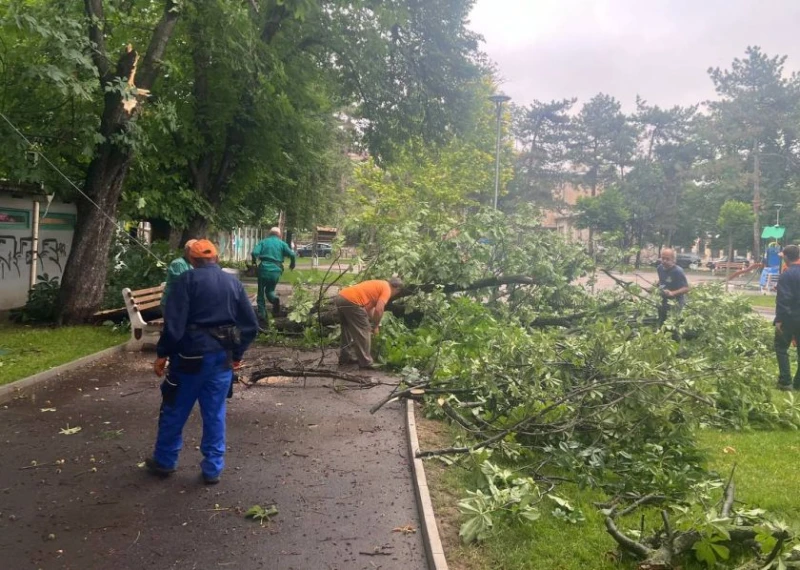 В Русе над 230 служители отстраняват щетите след снощната буря