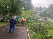 В Русе над 230 служители отстраняват щетите след снощната буря