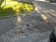 След публикация на Plovdiv24.bg: Премахнаха от тротоара отлежалите от 3 ...